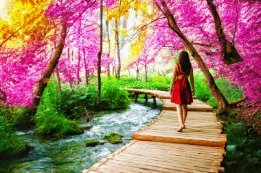 Traveler, Hırvatistan'ın Plitvice Gölleri'nde yolda yürüyor.