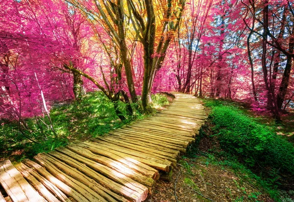 Beau sentier en bois dans le lac de Plitvice, Croatie . — Photo