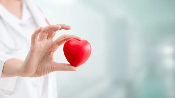 Dokter memegang jantung merah di kantor rumah sakit . — Stok Foto