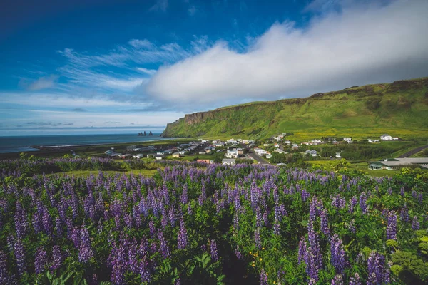 Schöne Stadt Vik i Myrdal Island im Sommer. — Stockfoto