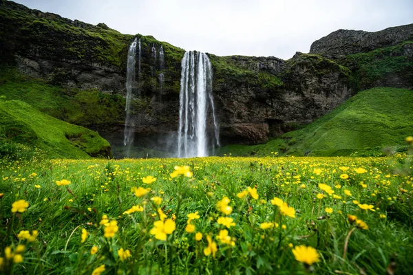 İzlanda 'da Sihirli Seljalandsfoss Şelalesi. — Stok fotoğraf