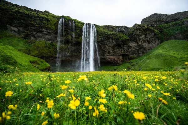 Magical Seljalandsfoss Cachoeira na Islândia . — Fotografia de Stock