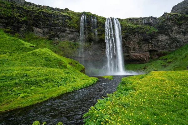 Magical Seljalandsfoss Καταρράκτης στην Ισλανδία. — Φωτογραφία Αρχείου