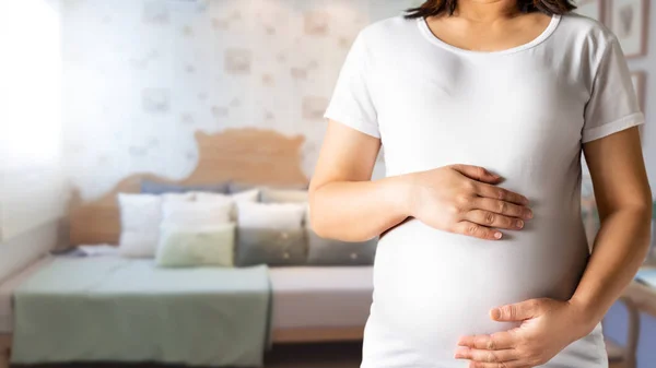 Mujer embarazada feliz y esperando un bebé en casa. — Foto de Stock