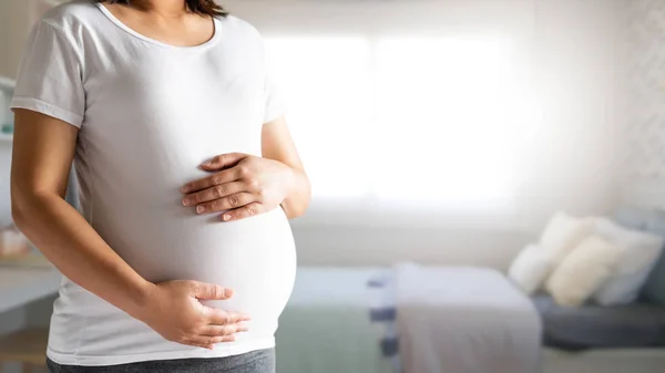 Mujer embarazada feliz y esperando un bebé en casa. — Foto de Stock