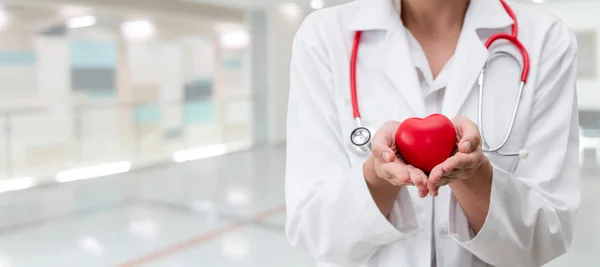 Doctor sosteniendo un corazón rojo en la oficina del hospital . — Foto de Stock