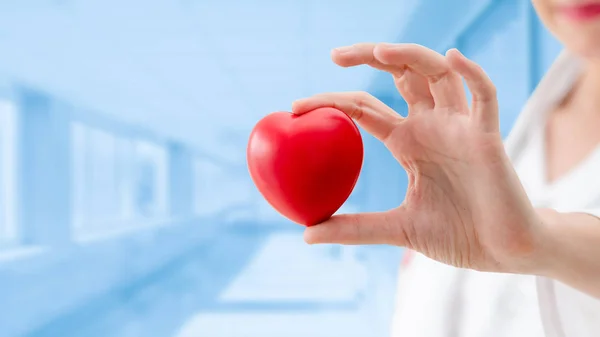 Doctor holding a red heart at hospital office. — Stock Photo, Image