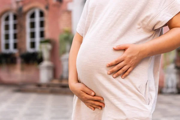 Mujer embarazada feliz y esperando un bebé en casa. — Foto de Stock