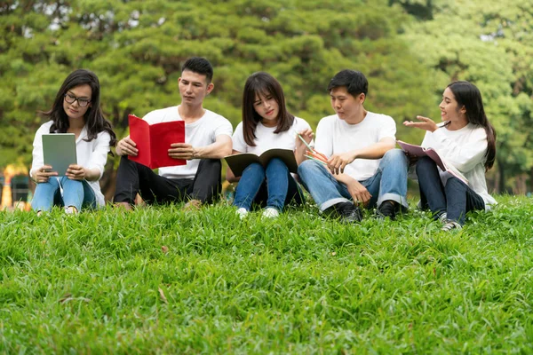 Equipe de jovens estudantes que estudam no parque . — Fotografia de Stock