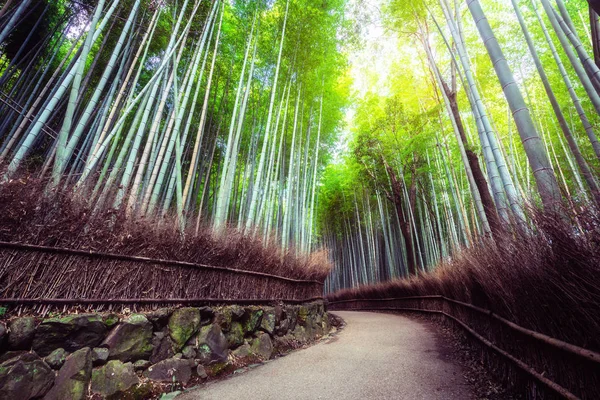 嵐山竹林名所 京都日本 — ストック写真