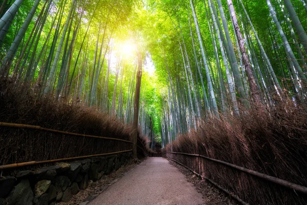 嵐山竹林名所 京都日本 — ストック写真