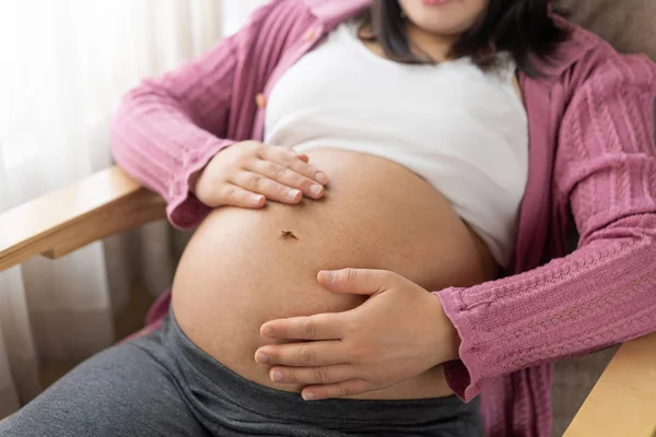 Mujer embarazada feliz y esperando un bebé en casa. — Foto de Stock