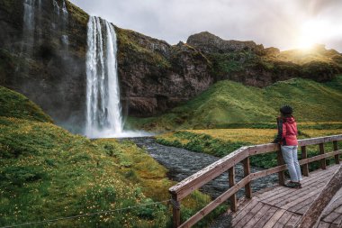 İzlanda 'da Sihirli Seljalandsfoss Şelalesi.