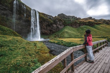 İzlanda 'da Sihirli Seljalandsfoss Şelalesi.