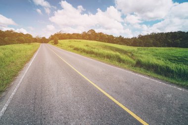 Mavi gökyüzünün altındaki yeşil çimlerin arasından geçen yol..