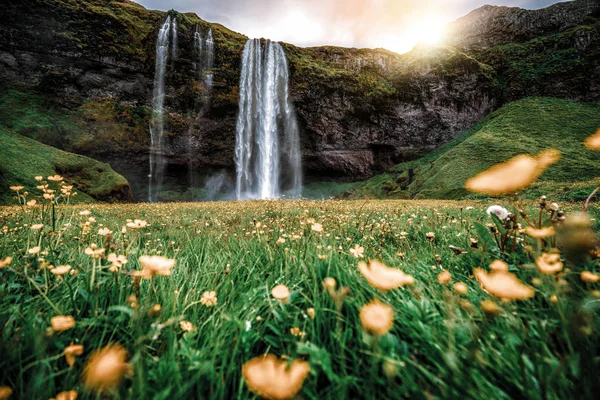 Magica cascata Seljalandsfoss in Islanda. — Foto Stock