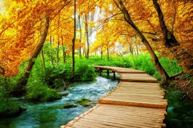 Plitvice Lake, Hırvatistan'da güzel ahşap yol.