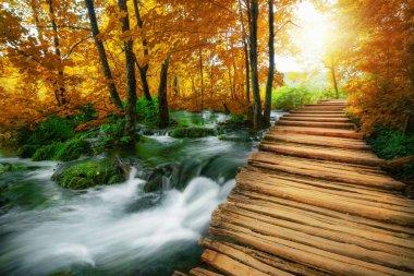 Plitvice Lake, Hırvatistan'da güzel ahşap yol.