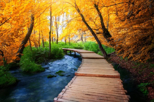 Beau sentier en bois dans le lac de Plitvice, Croatie . — Photo