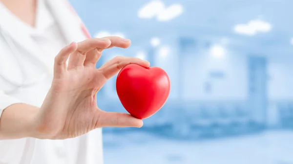 Doctor holding a red heart at hospital office. — Stock Photo, Image