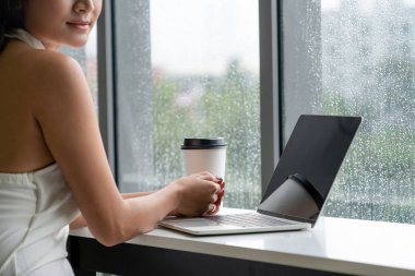 Kafede dizüstü bilgisayar kullanan iş kadını.