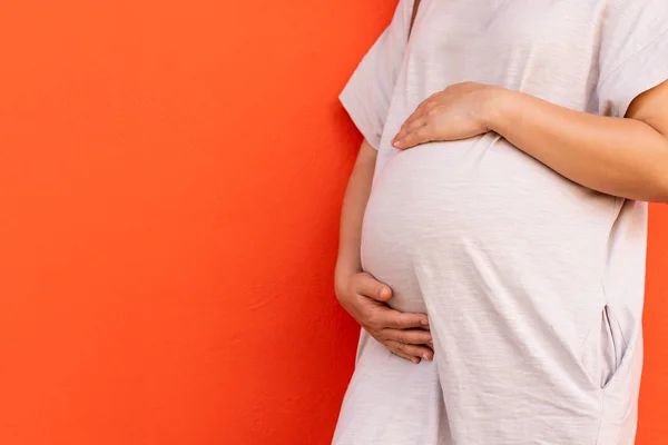 Mujer embarazada feliz y esperando un bebé en casa. — Foto de Stock