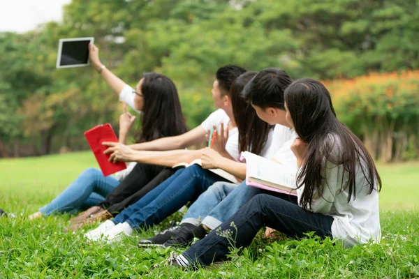 Team junger Studenten, die im Park studieren. — Stockfoto