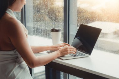 Kafede dizüstü bilgisayar kullanan iş kadını.