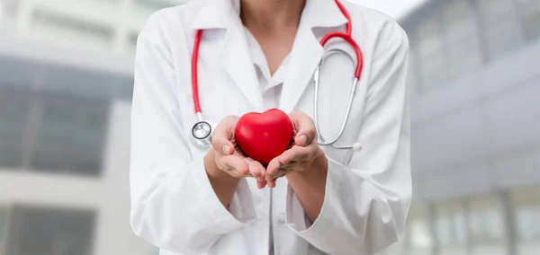 Doctor holding a red heart at hospital office. — Stock Photo, Image