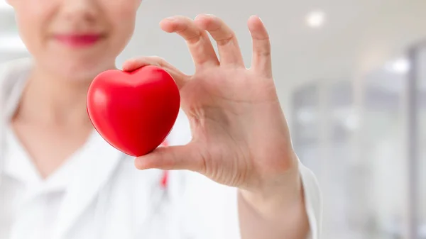 Doctor holding a red heart at hospital office. — Stock Photo, Image