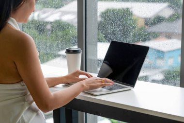 Kafede dizüstü bilgisayar kullanan iş kadını.