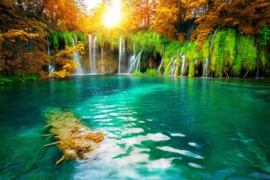Plitvice Gölleri Hırvatistan Şelale manzara.