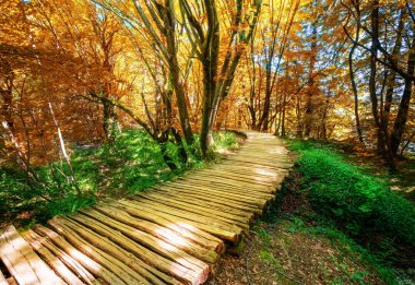 Plitvice Lake, Hırvatistan'da güzel ahşap yol.