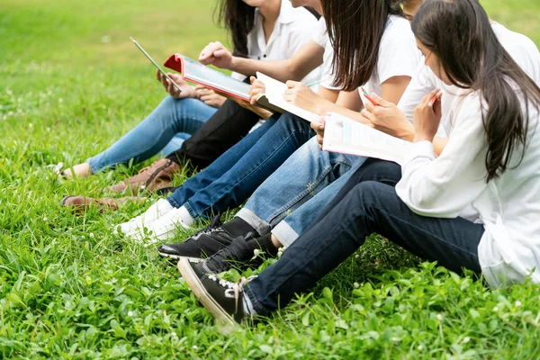 Equipe de jovens estudantes que estudam no parque . — Fotografia de Stock