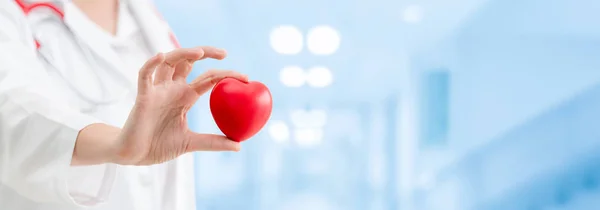Doctor holding a red heart at hospital office. — Stock Photo, Image