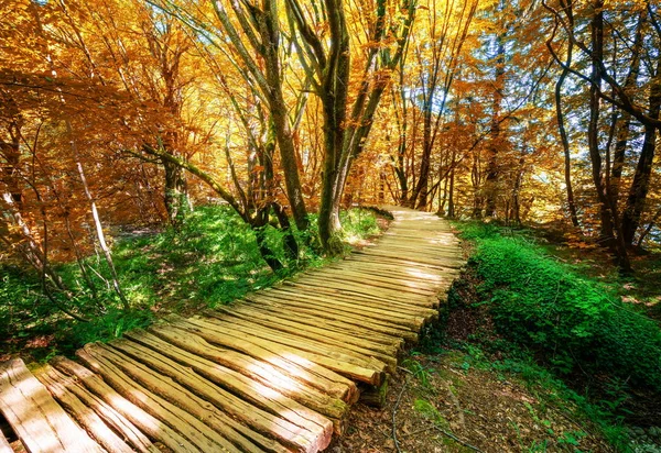 Mooie houten pad in Plitvice Lake, Kroatië. — Stockfoto