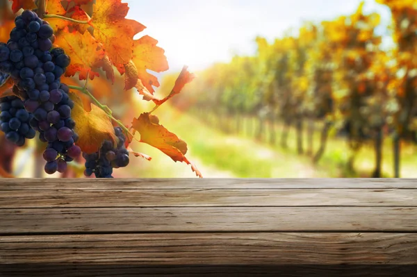 Mesa de madera en otoño viñedo país paisaje . —  Fotos de Stock
