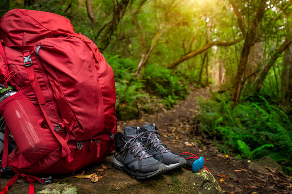 Красный рюкзак и набор снаряжения для пеших походов размещены на скалах в тропических лесах Тасмании, Австралия. Походы и кемпинг
.