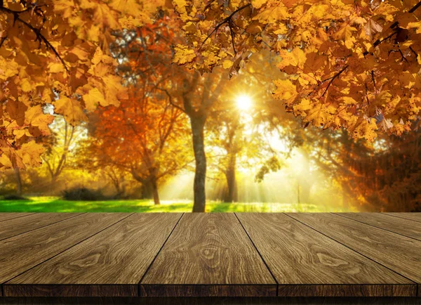 Drewniany Stół Jesiennym Krajobrazie Kopią Przestrzeni — Zdjęcie stockowe