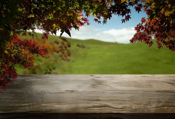 Mesa Madera Paisaje Otoño Con Espacio Copia — Foto de Stock