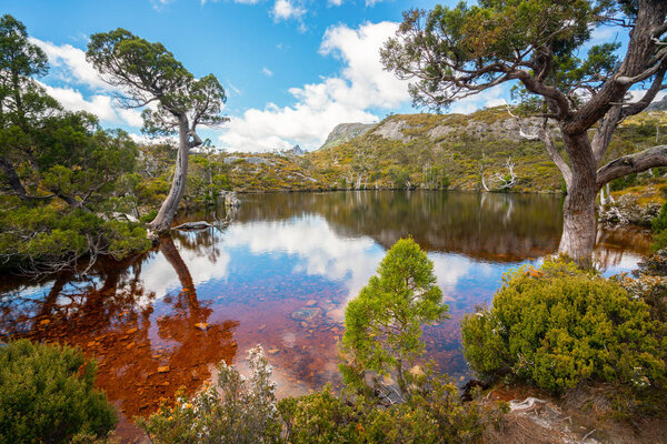 Nature landscape in Cradle mountain national park in Tasmania, Australia.
