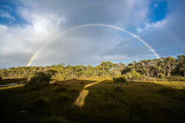 Arco Iris Sobre Horizonte Selva Tropical Península Tasmania Tasmania Australia —  Fotos de Stock