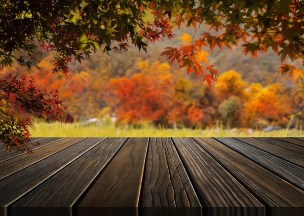 Mesa de madera en otoño paisaje con espacio vacío . —  Fotos de Stock