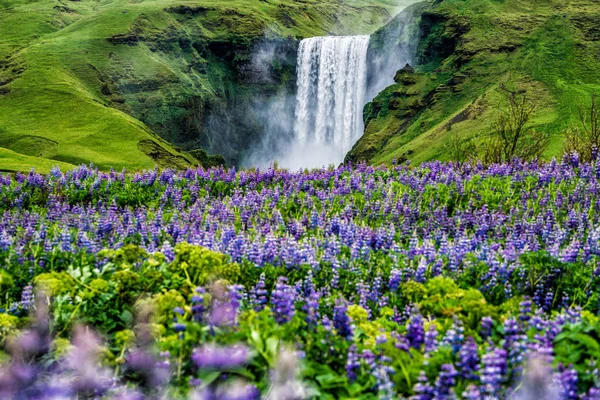 Skogafoss Καταρράκτης στην Ισλανδία το καλοκαίρι. — Φωτογραφία Αρχείου