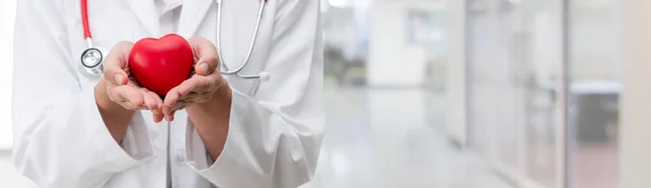 Doctor sosteniendo un corazón rojo en la oficina del hospital . — Foto de Stock