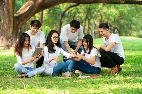 Team of young students studying in the park.