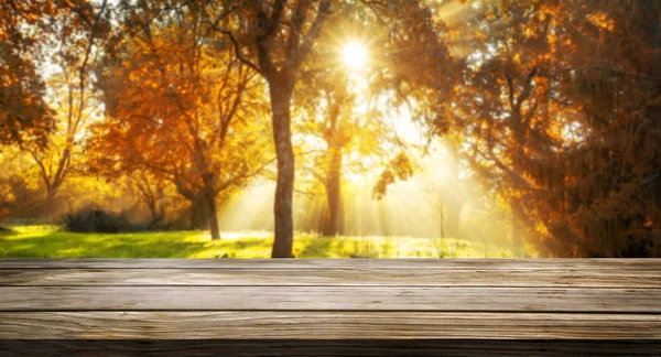 Mesa de madera en otoño paisaje con espacio vacío . —  Fotos de Stock