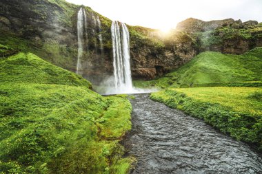 İzlanda 'da Sihirli Seljalandsfoss Şelalesi.