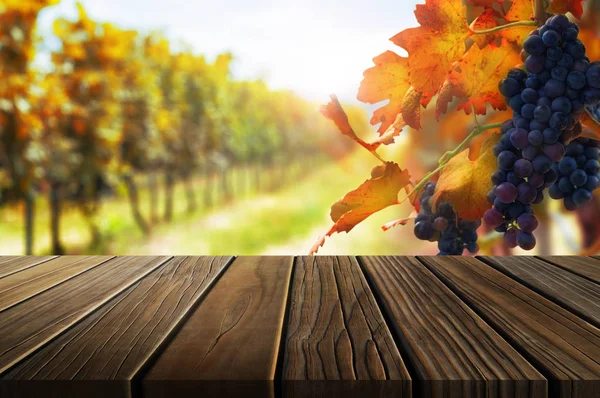 Wood table in autumn vineyard country landscape. — Stock Photo, Image