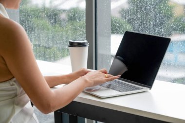 Kafede dizüstü bilgisayar kullanan iş kadını.